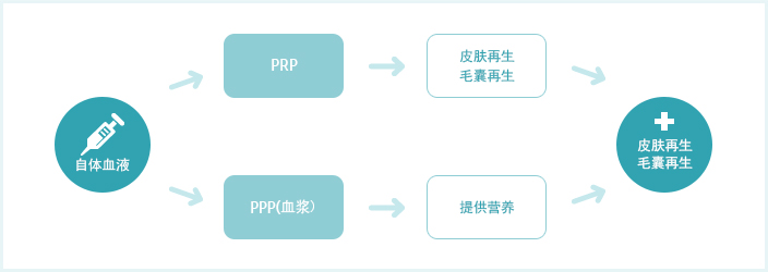 PRP治疗应用范围